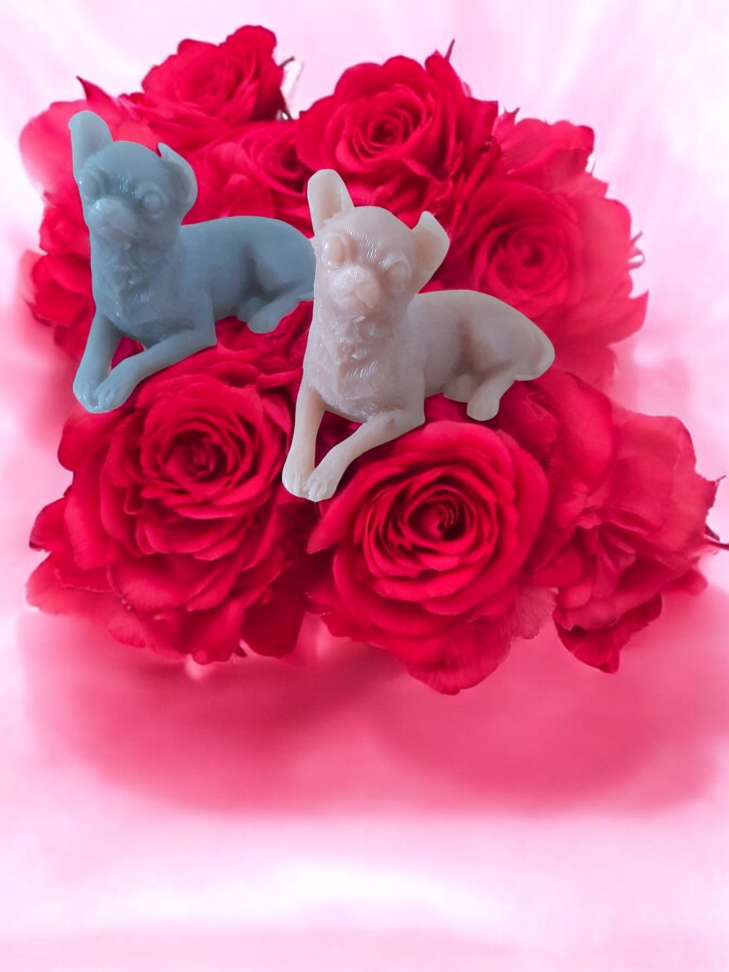 (image for) Chihuahua Zeepje