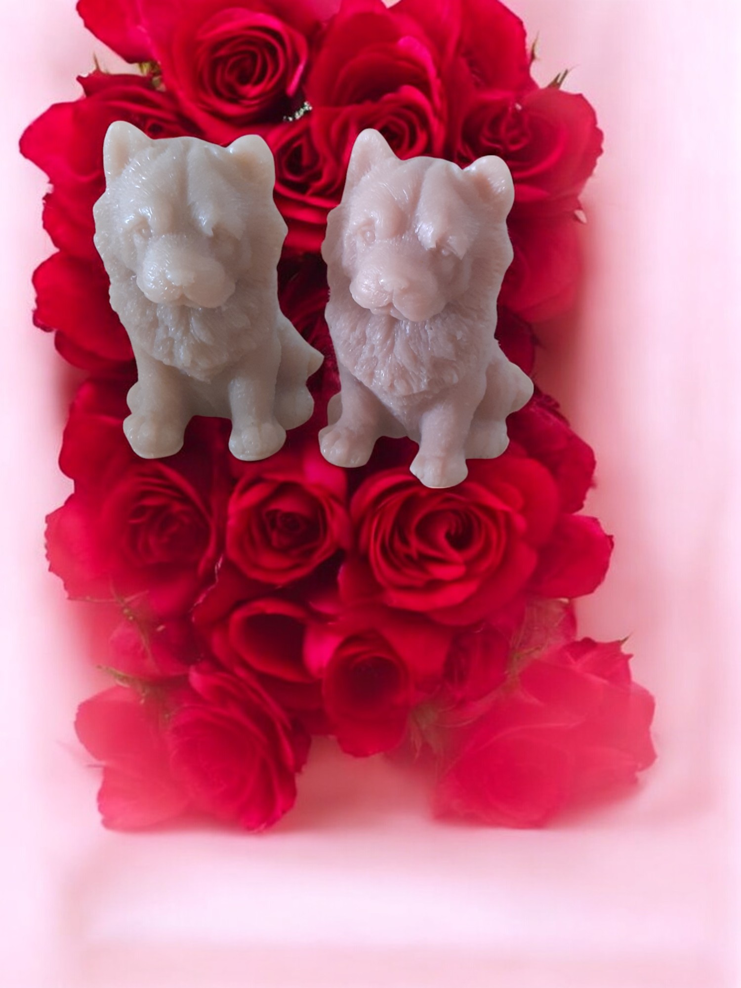 (image for) Chowchow Zeepje