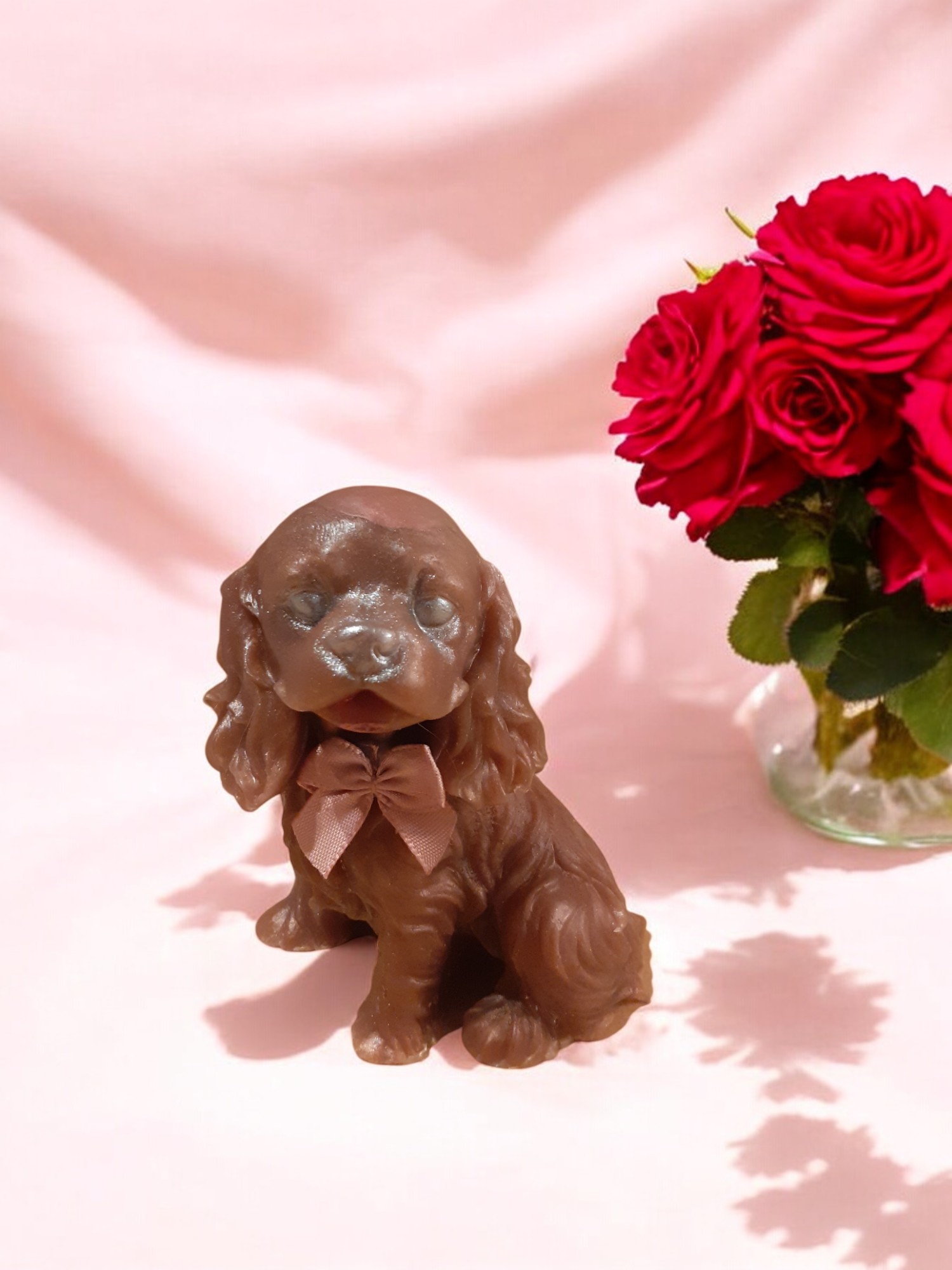 (image for) Cavalier-kingcharlesspaniël Zeepje met Mica