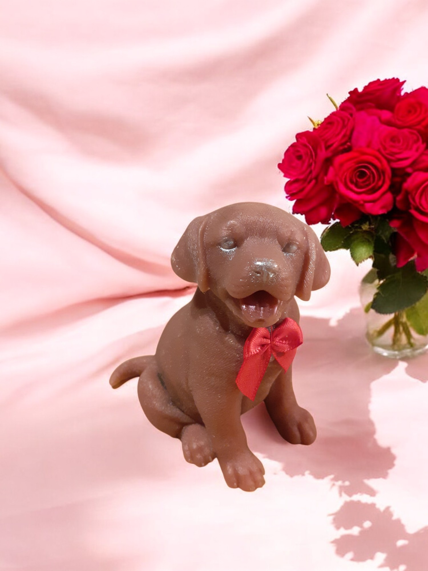 (image for) Labrador Zeepje met Mica