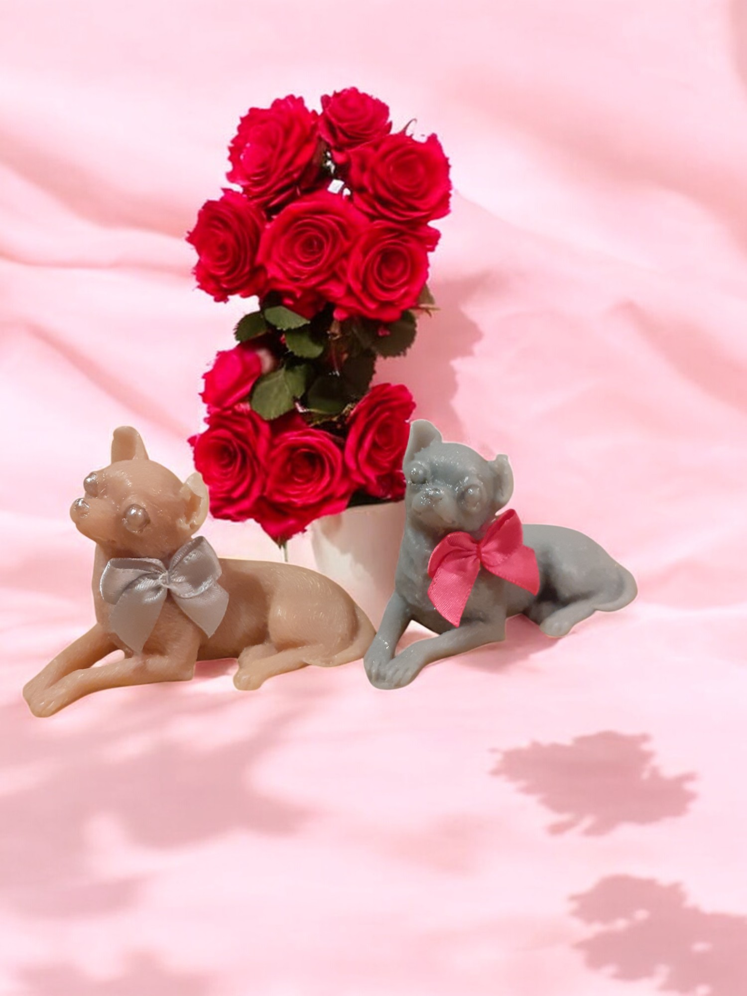 (image for) Chihuahua Zeepje met Mica