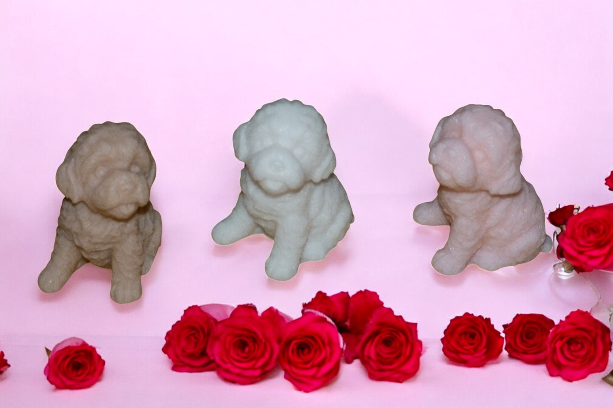 (image for) Labradoodle Zeepje