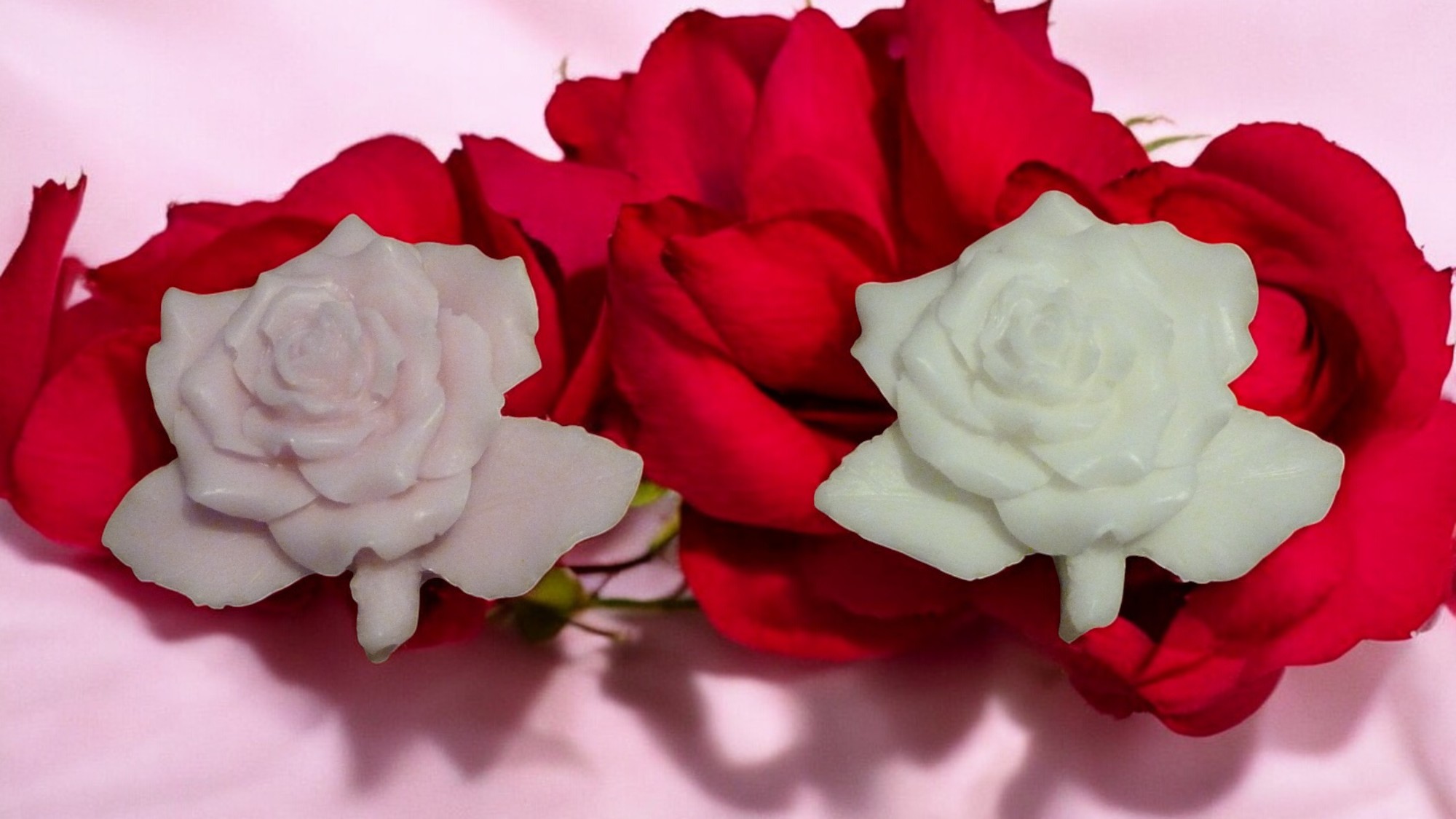 (image for) Roos met Steel Zeepje