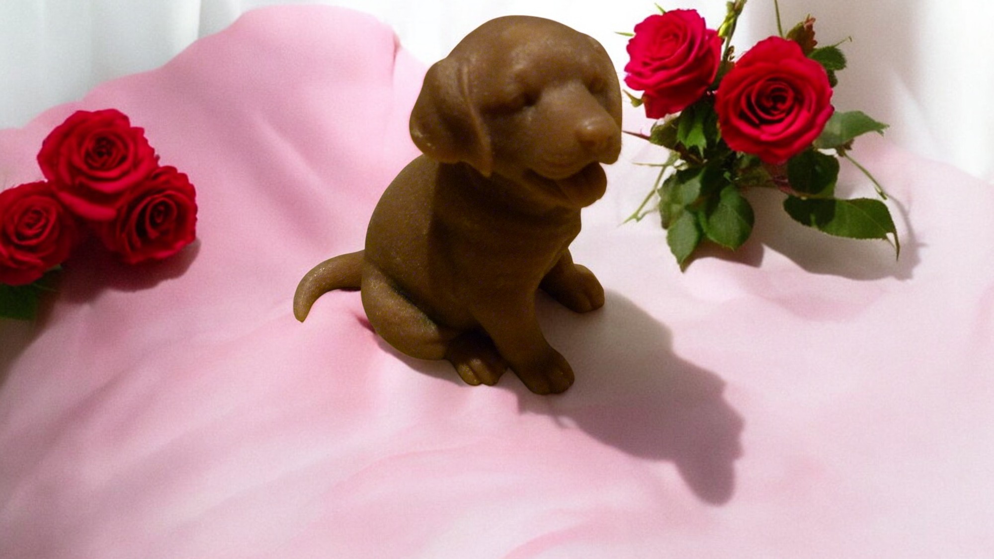 (image for) Labrador Zeepje