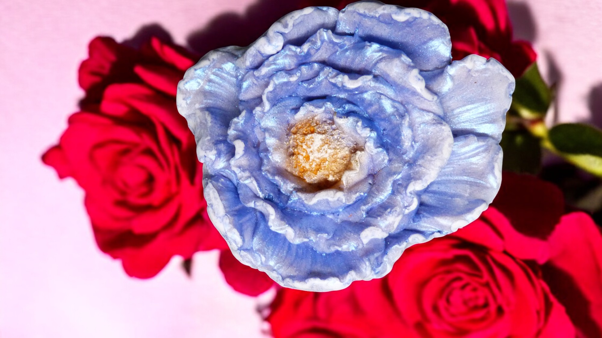 Anjer Zeepje met Mica (image for) Anjer Zeepje met Mica