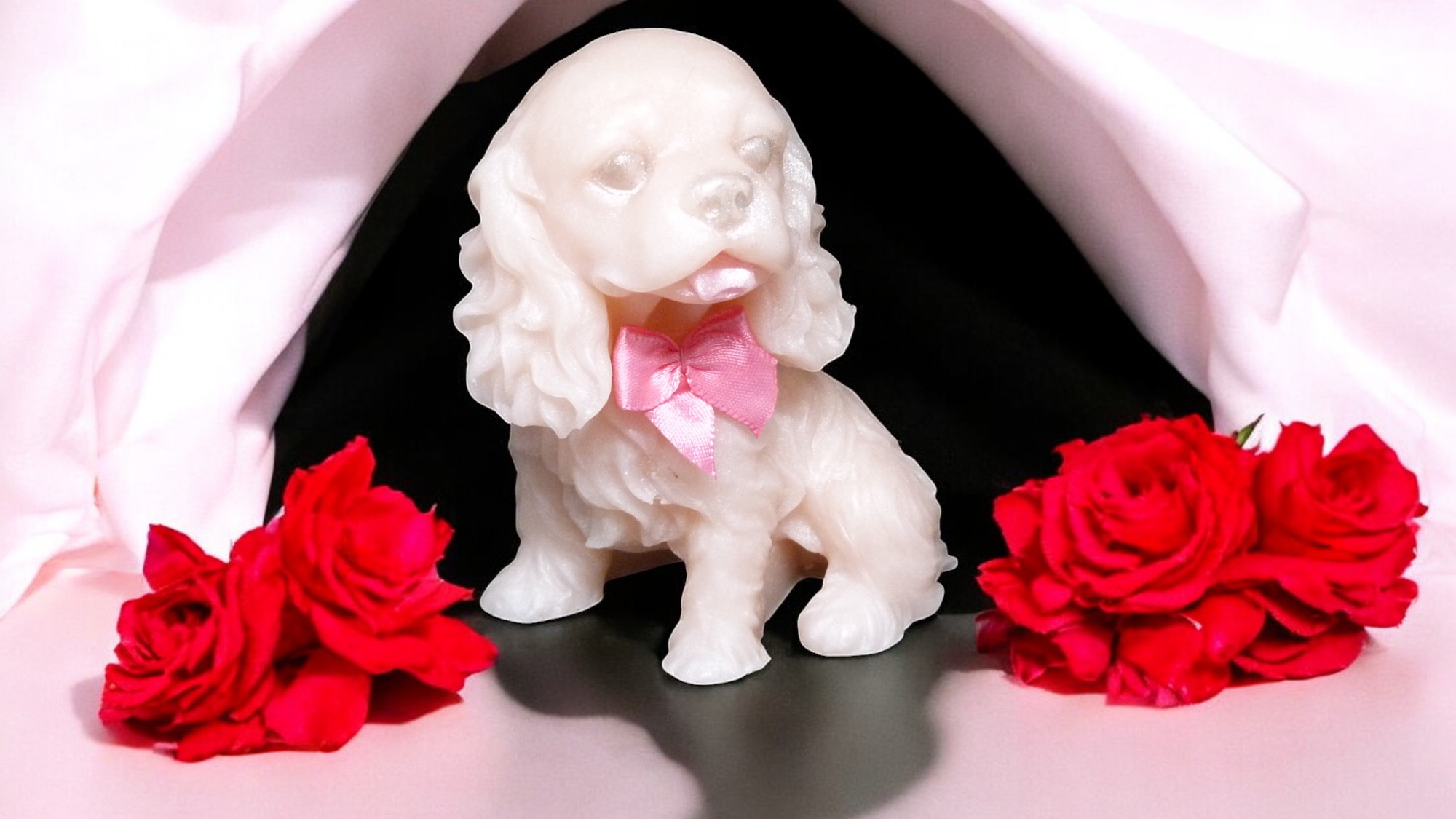 (image for) Cavalier-kingcharlesspaniël Zeepje met Mica