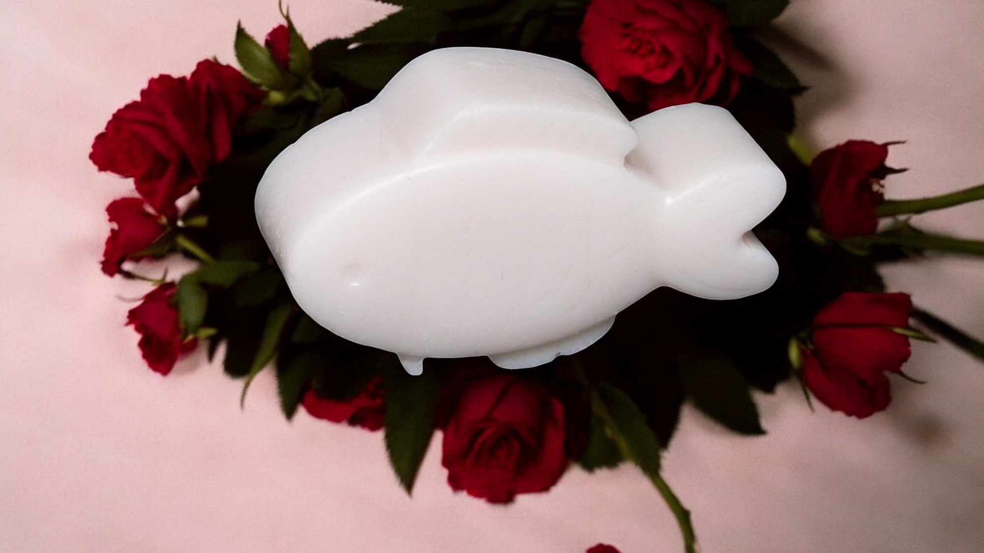 (image for) Visje Zeepje