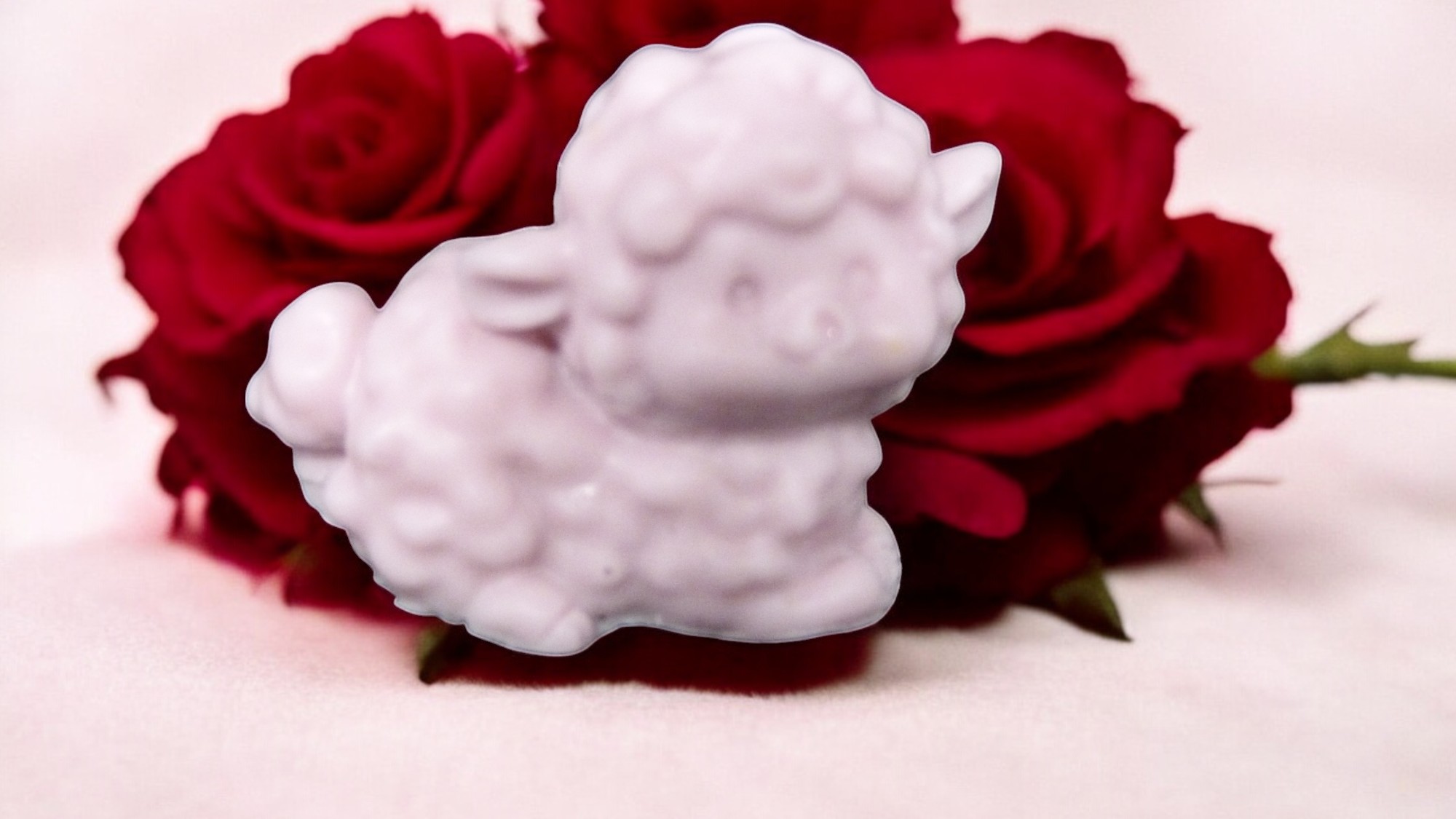 (image for) Schaapje Zeepje