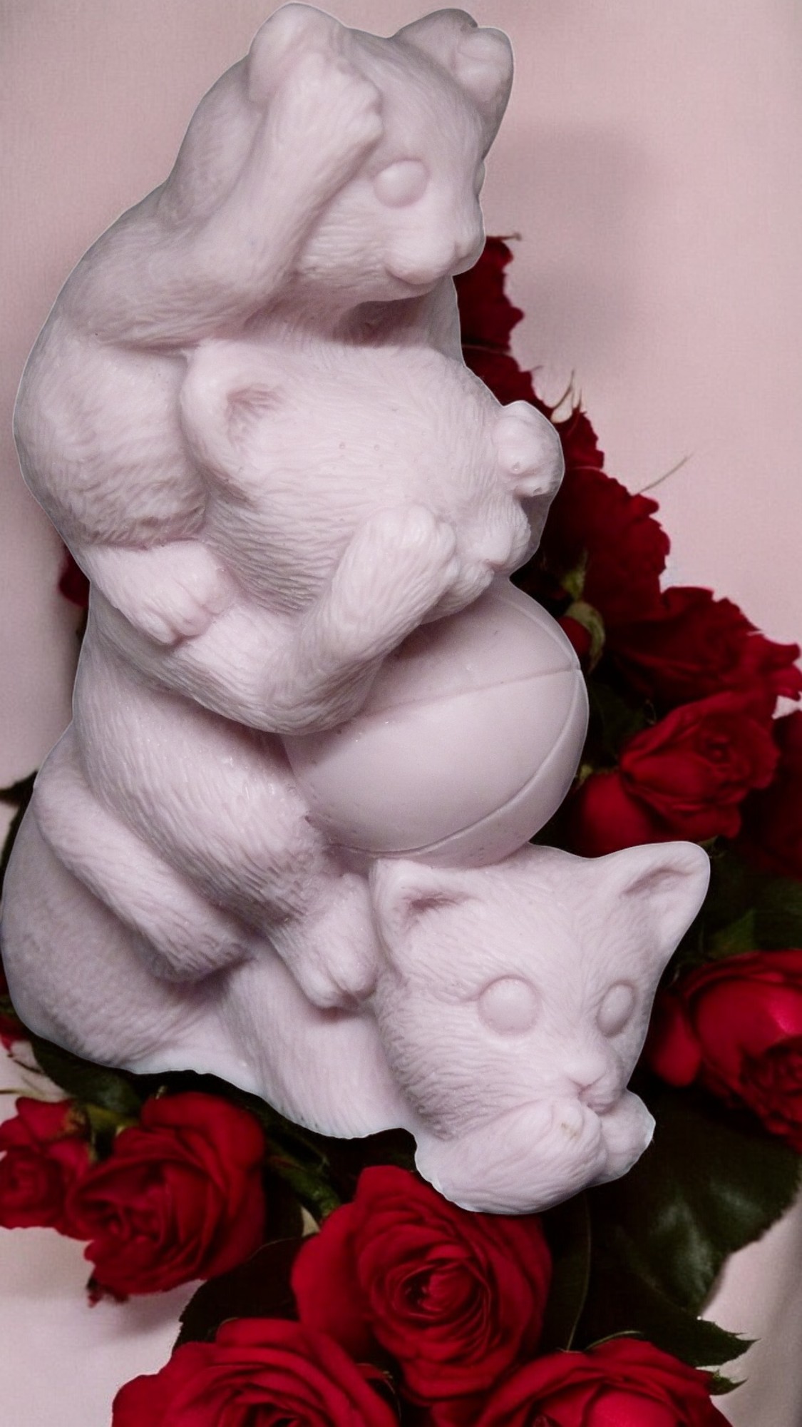 (image for) Horen, Zien en Zwijgen Katjes Zeepje