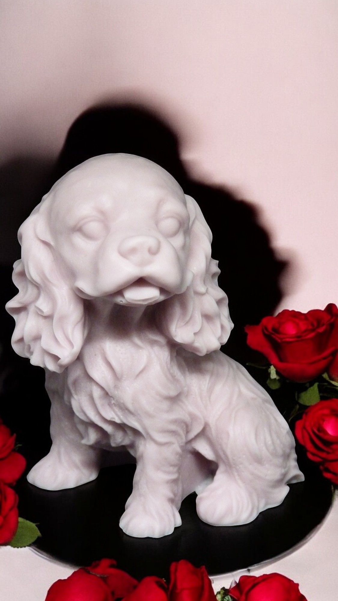 (image for) Cavalier-kingcharlesspaniël Zeepje