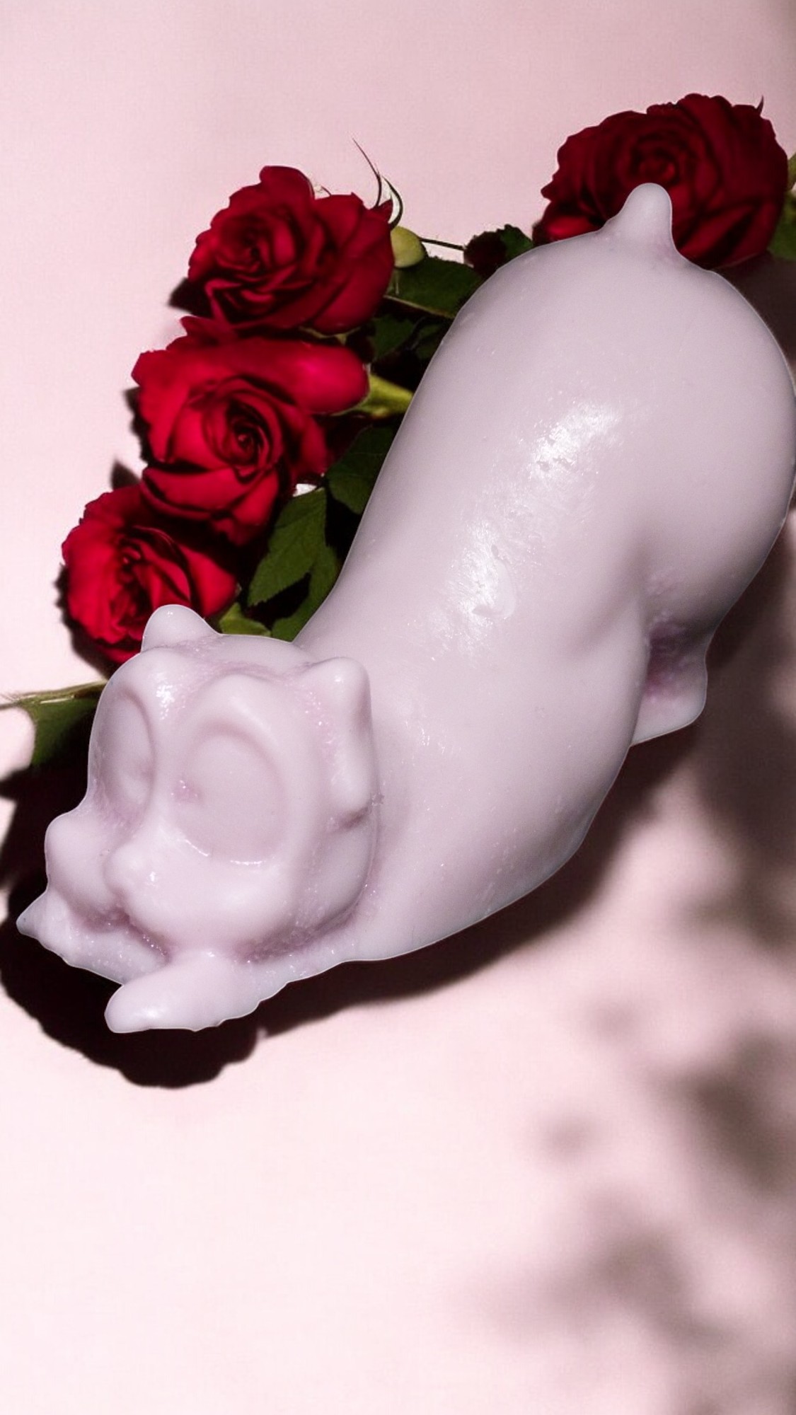 (image for) Cartoon Hondje Zeepje