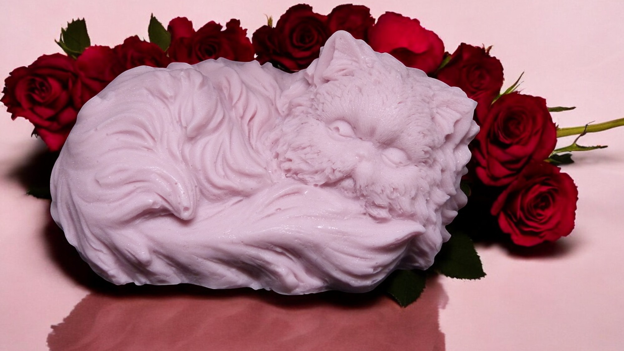 (image for) Perzische Kat Zeepje