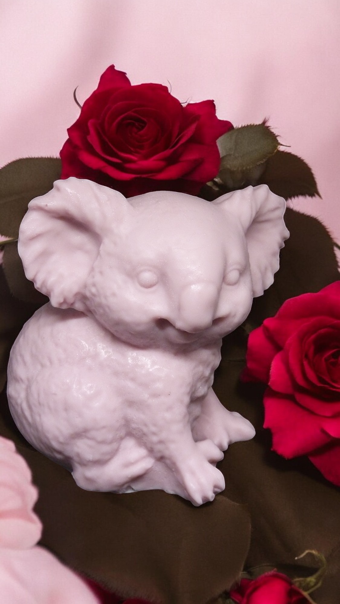 (image for) Koala Zeepje