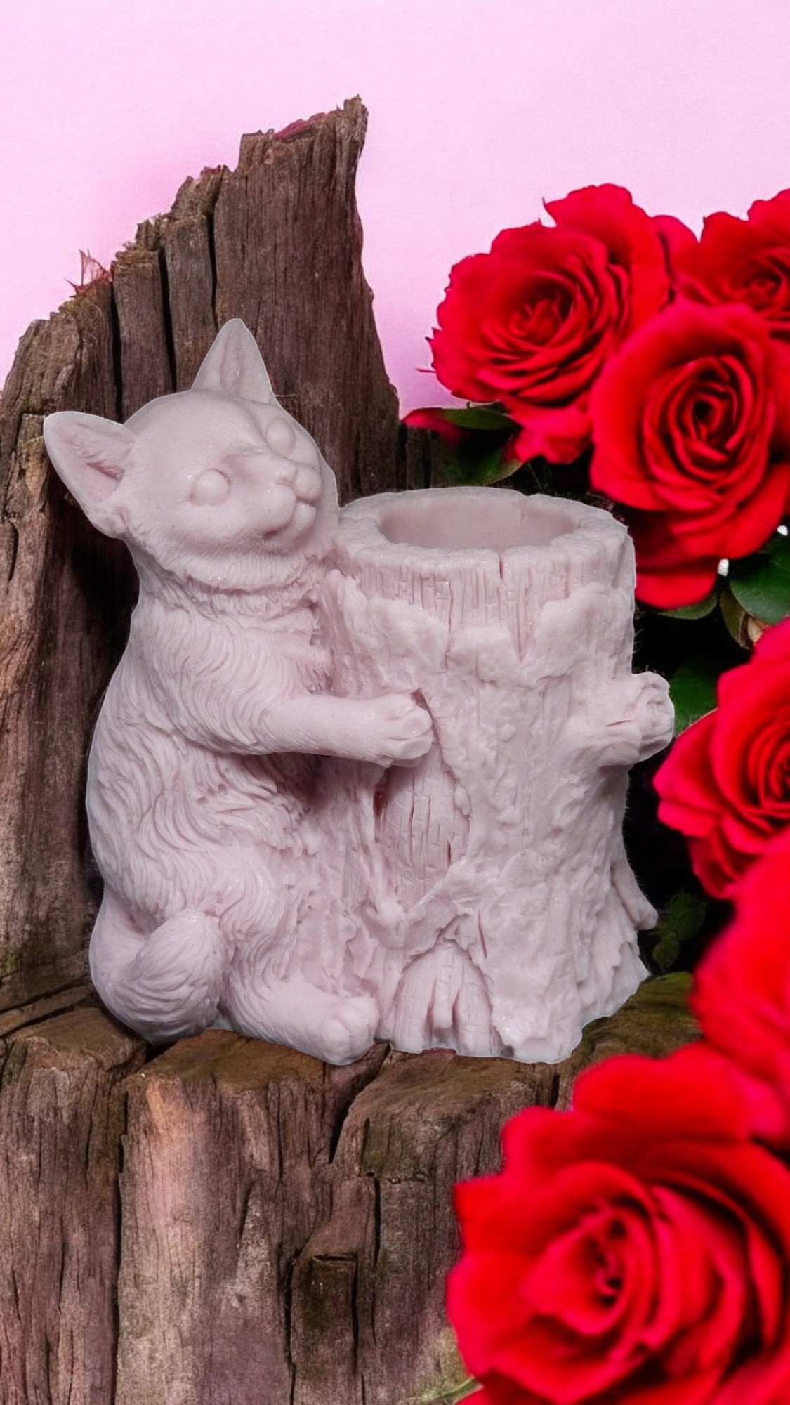 (image for) Kat met Boomstam Zeepje