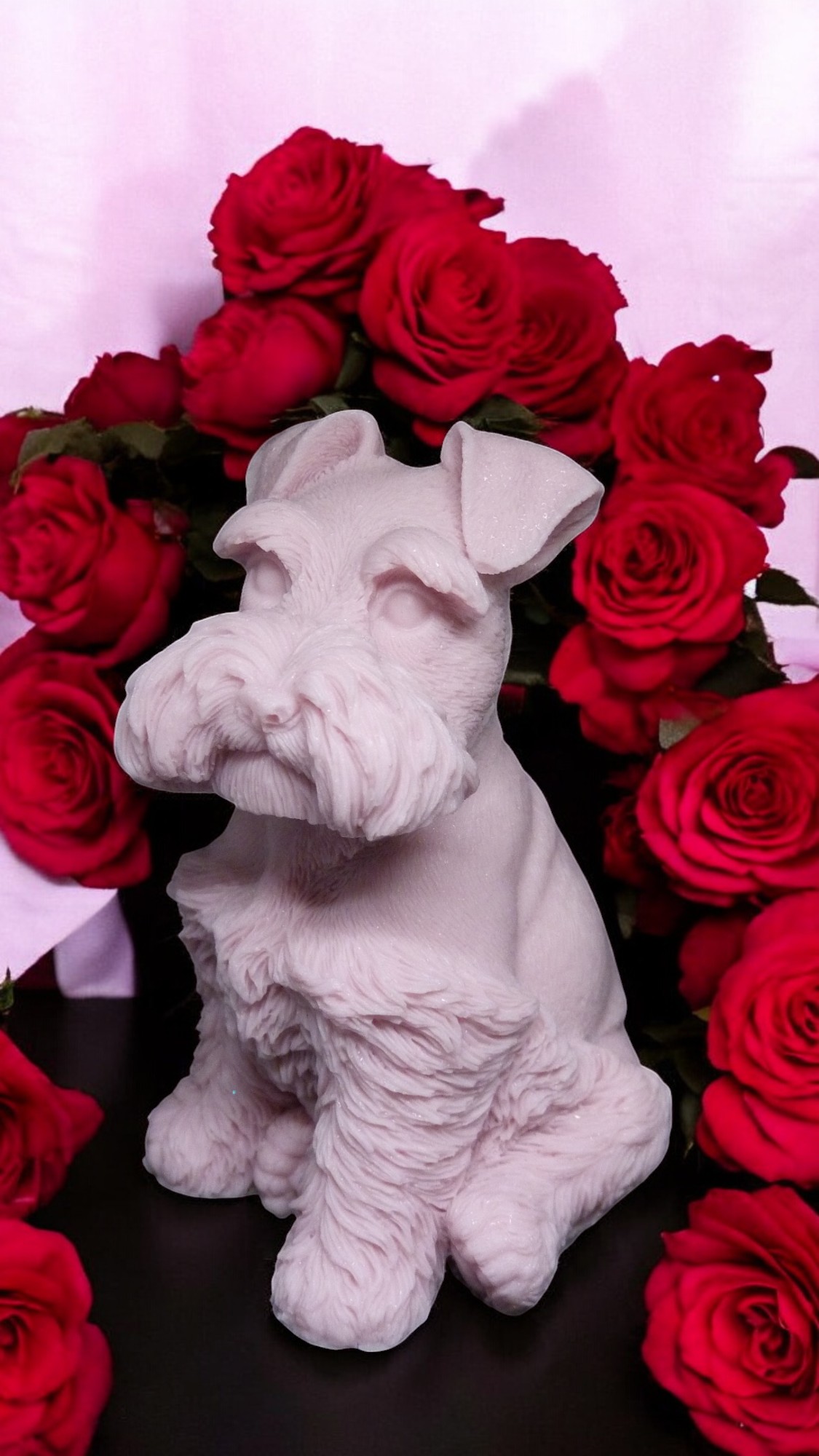 (image for) Schnauzer Zeepje