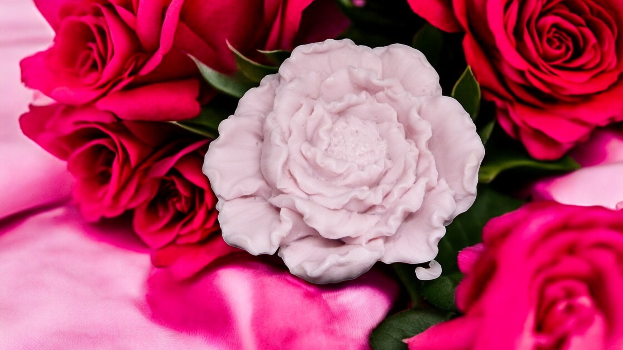 (image for) Anjer Zeepje