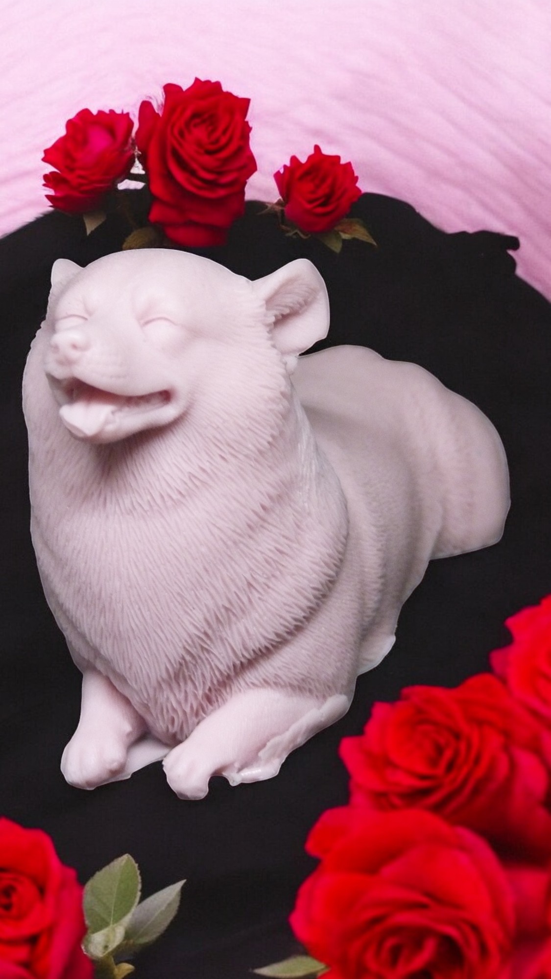 (image for) Corgi Zeepje