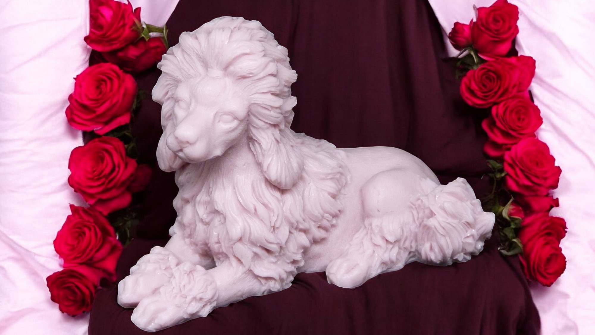 (image for) Koningspoedel Zeepje