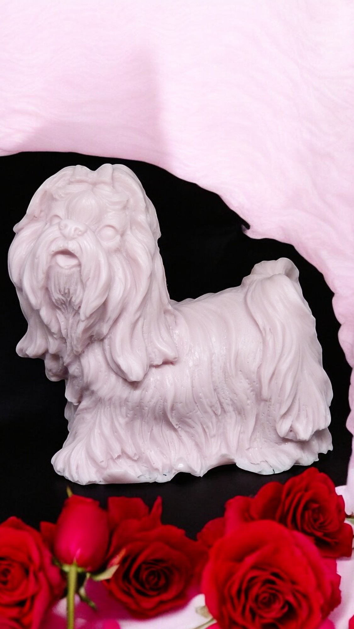 (image for) Shih Tzu Zeepje