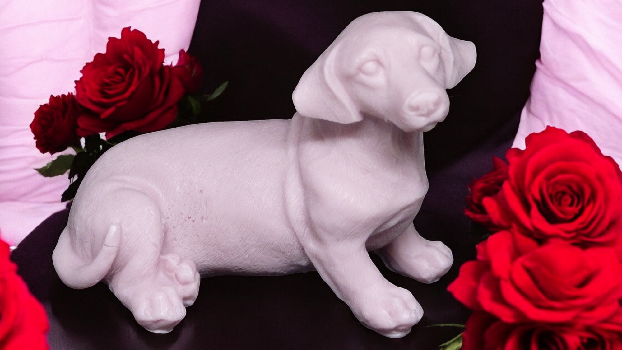 (image for) Teckel Zeepje