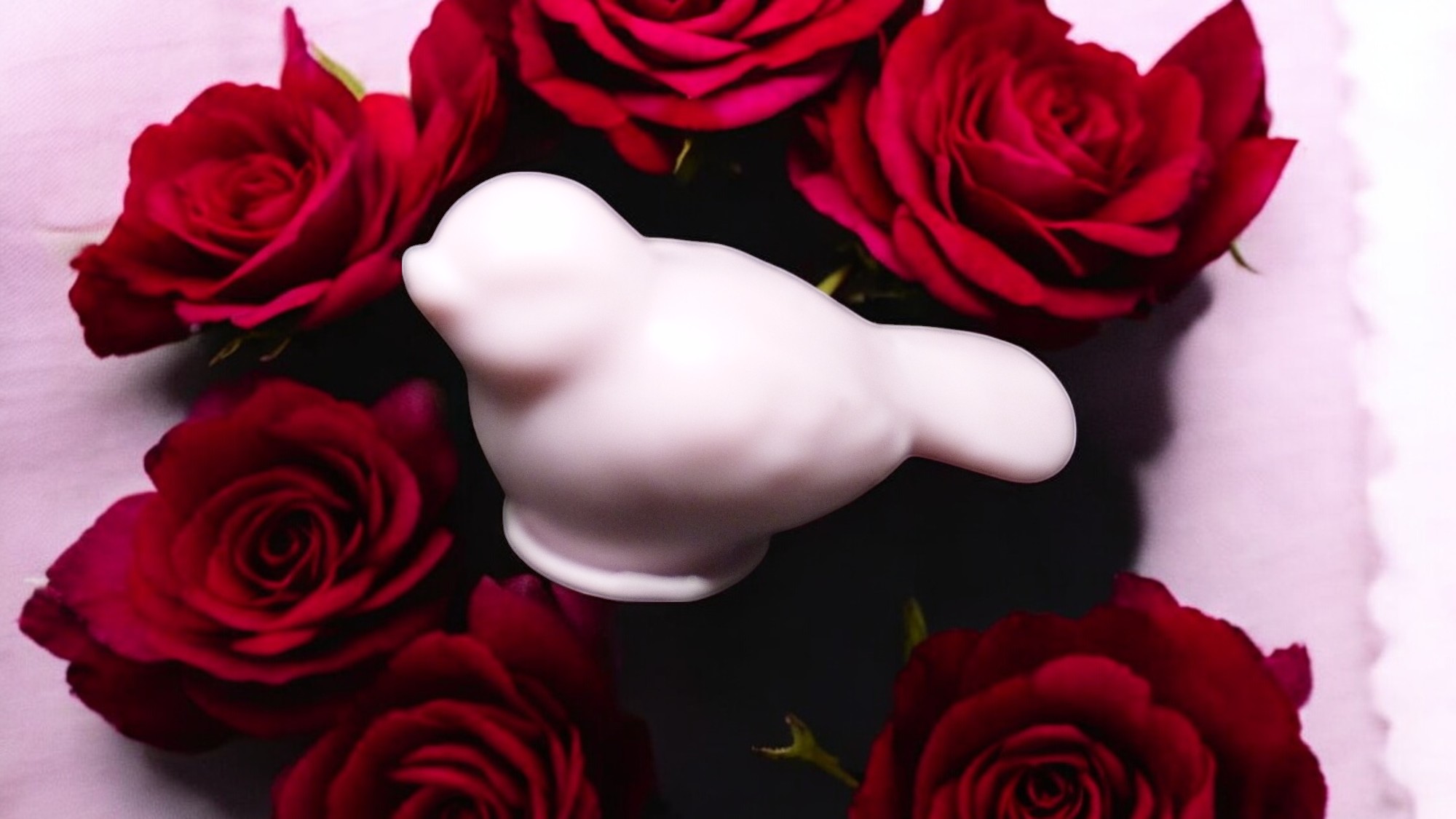 (image for) Vogeltje Zeepje