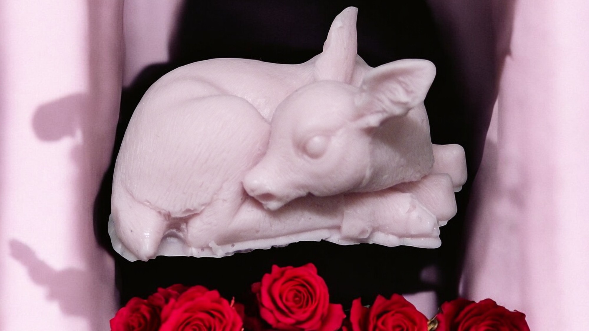 (image for) Hertje Zeepje