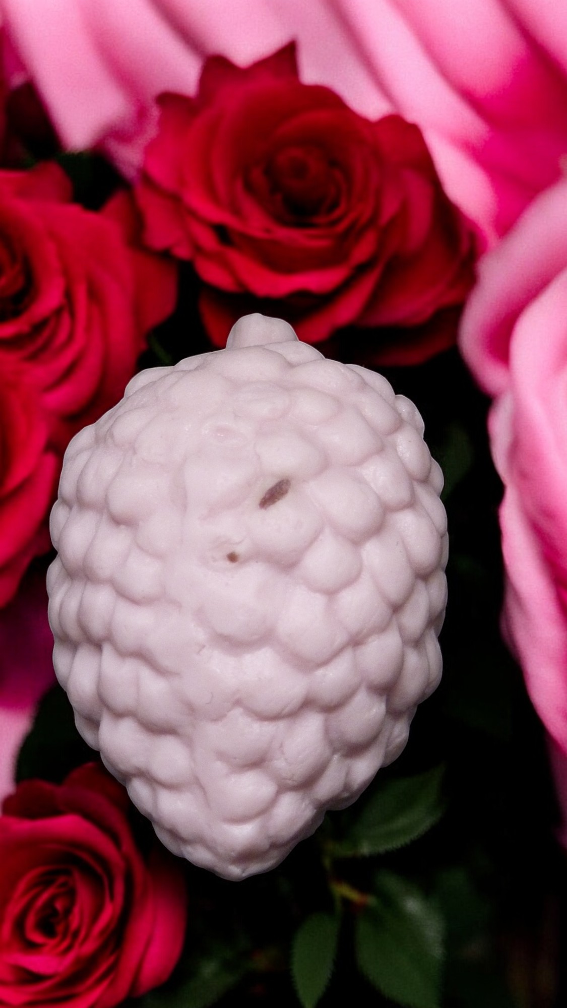 (image for) Dennenappel Zeepje