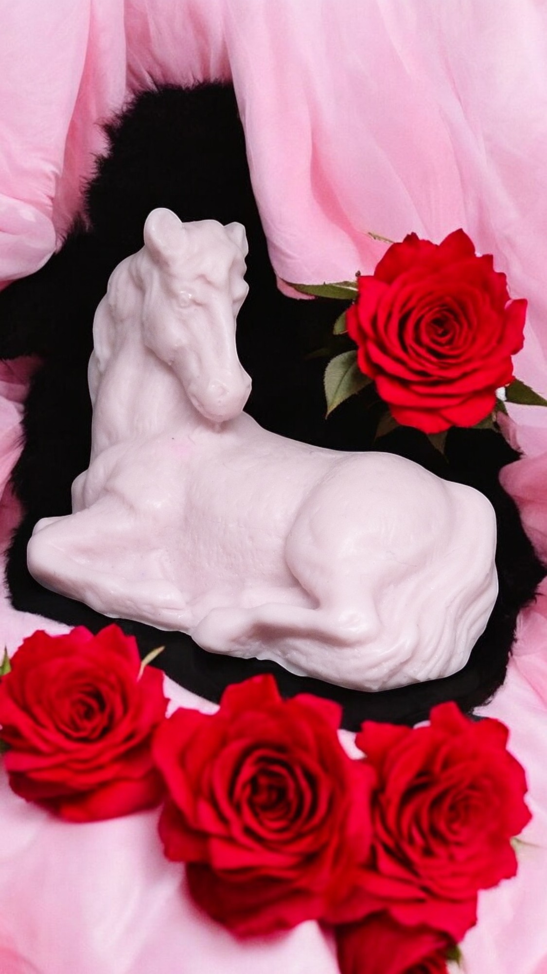 (image for) Paardje Zeepje