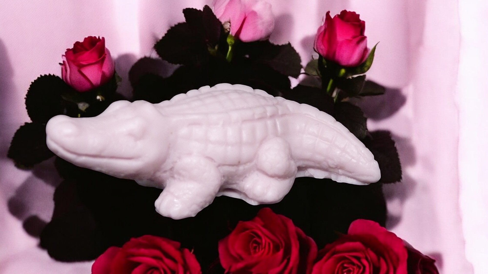 (image for) Krokodil Zeepje