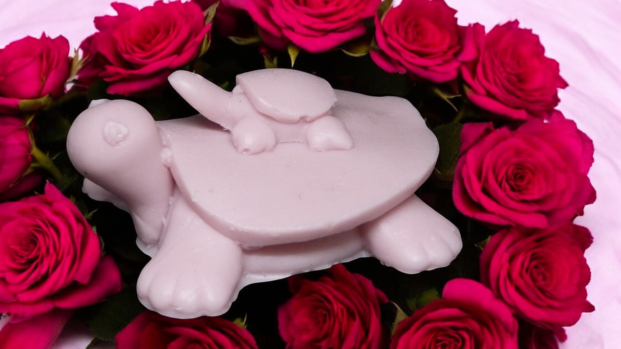 (image for) Schildpad met Baby Zeepje