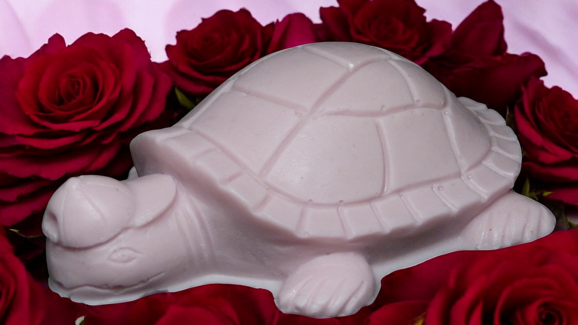 (image for) Schildpad met Pet Zeepje