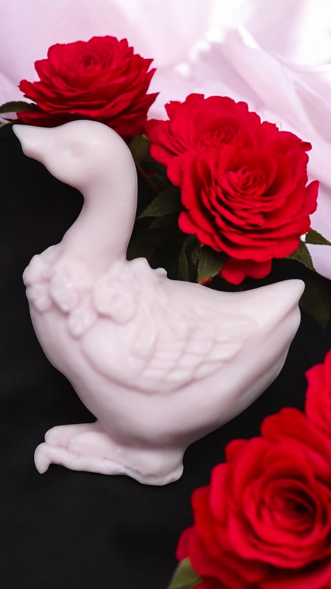 (image for) Gansje Zeepje