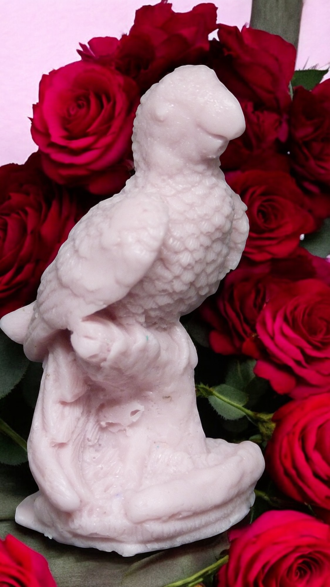 (image for) Papegaai op een Boomstam Zeepje