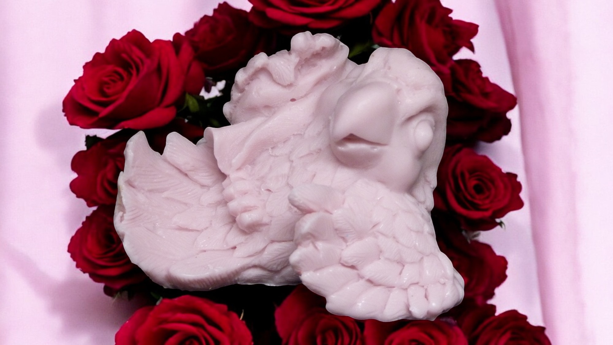 (image for) Papegaai met Doek Zeepje