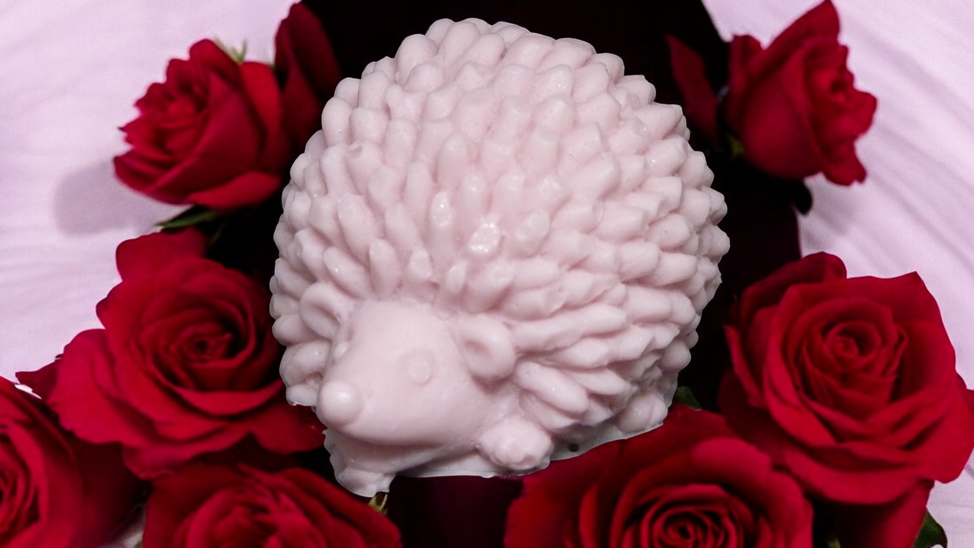 (image for) Egeltje Zeepje