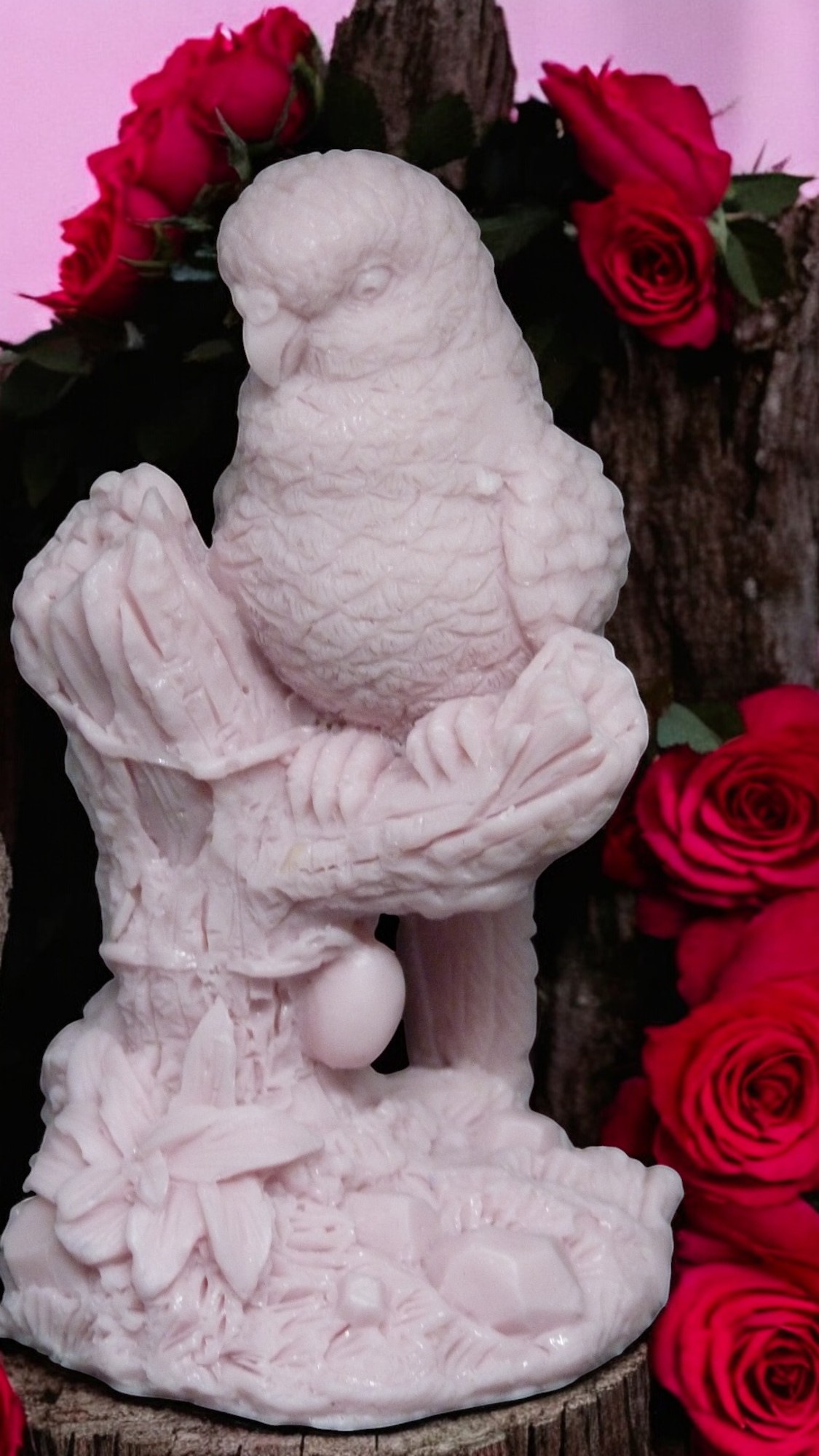 (image for) Parkiet op een Boomstam Zeepje