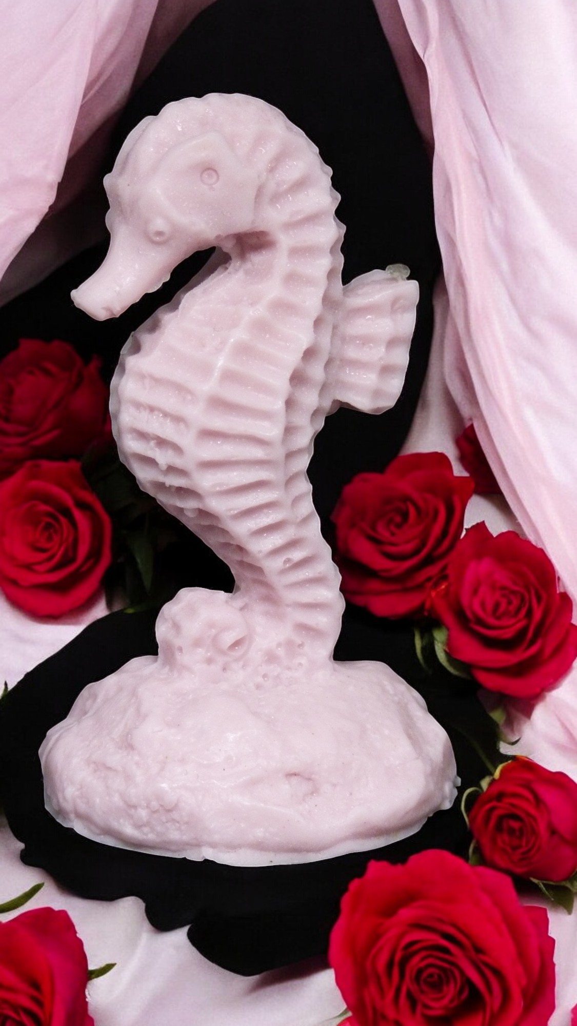 (image for) Groot Zeepaardje Zeepje