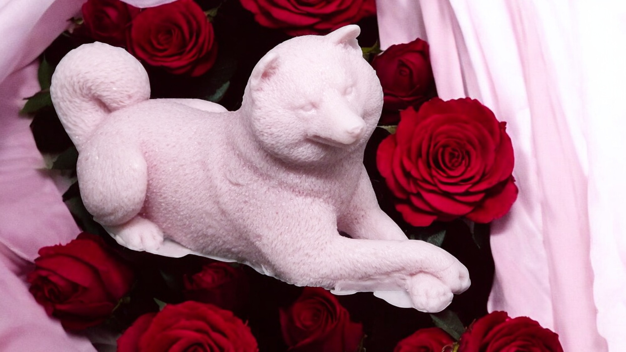 (image for) Shiba Zeepje