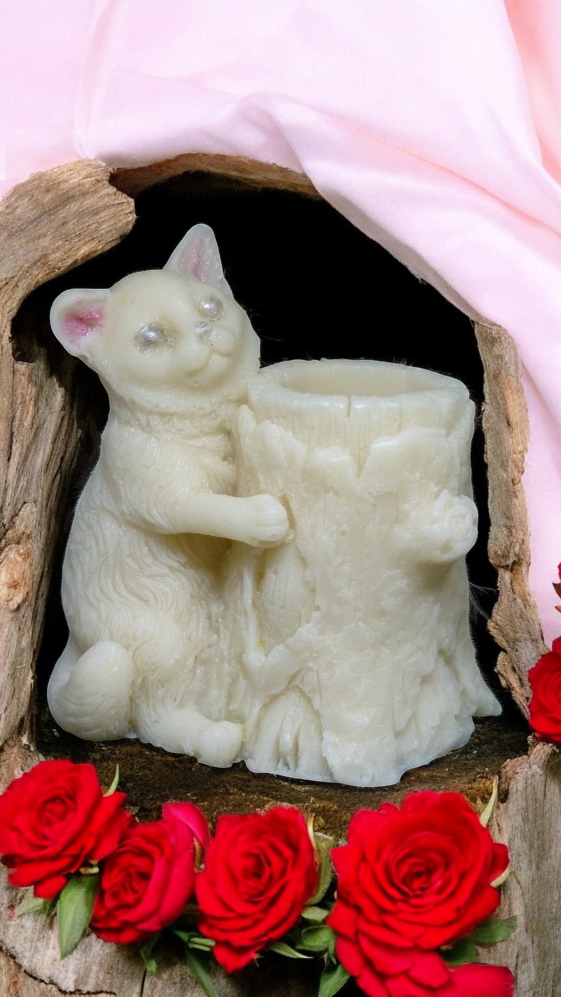 (image for) Kat met Boomstam Zeepje met Mica