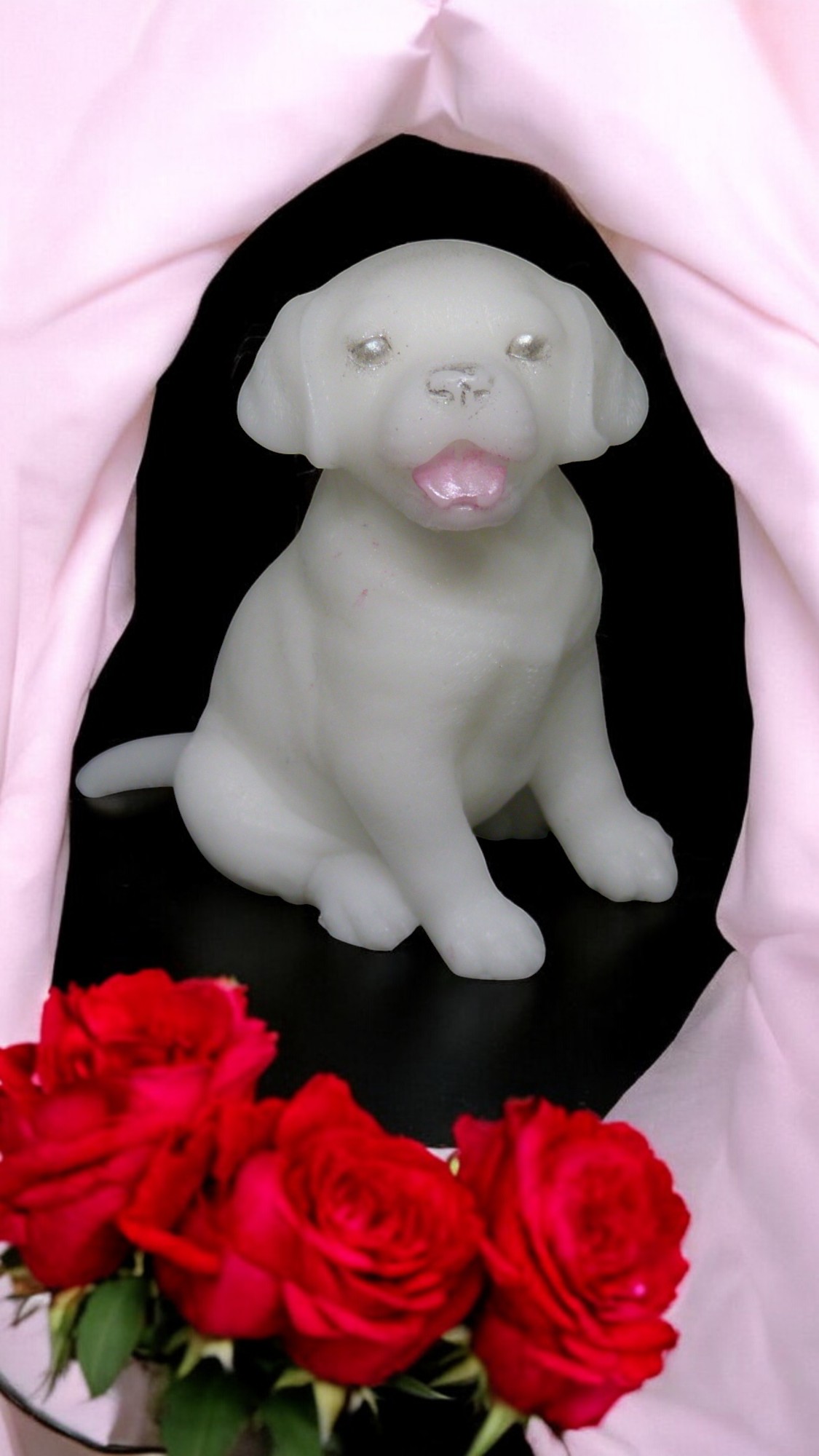 (image for) Labrador Zeepje met Mica