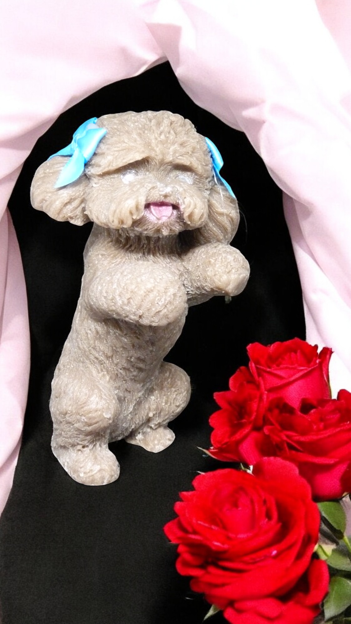 (image for) Poedel Zeepje met Mica