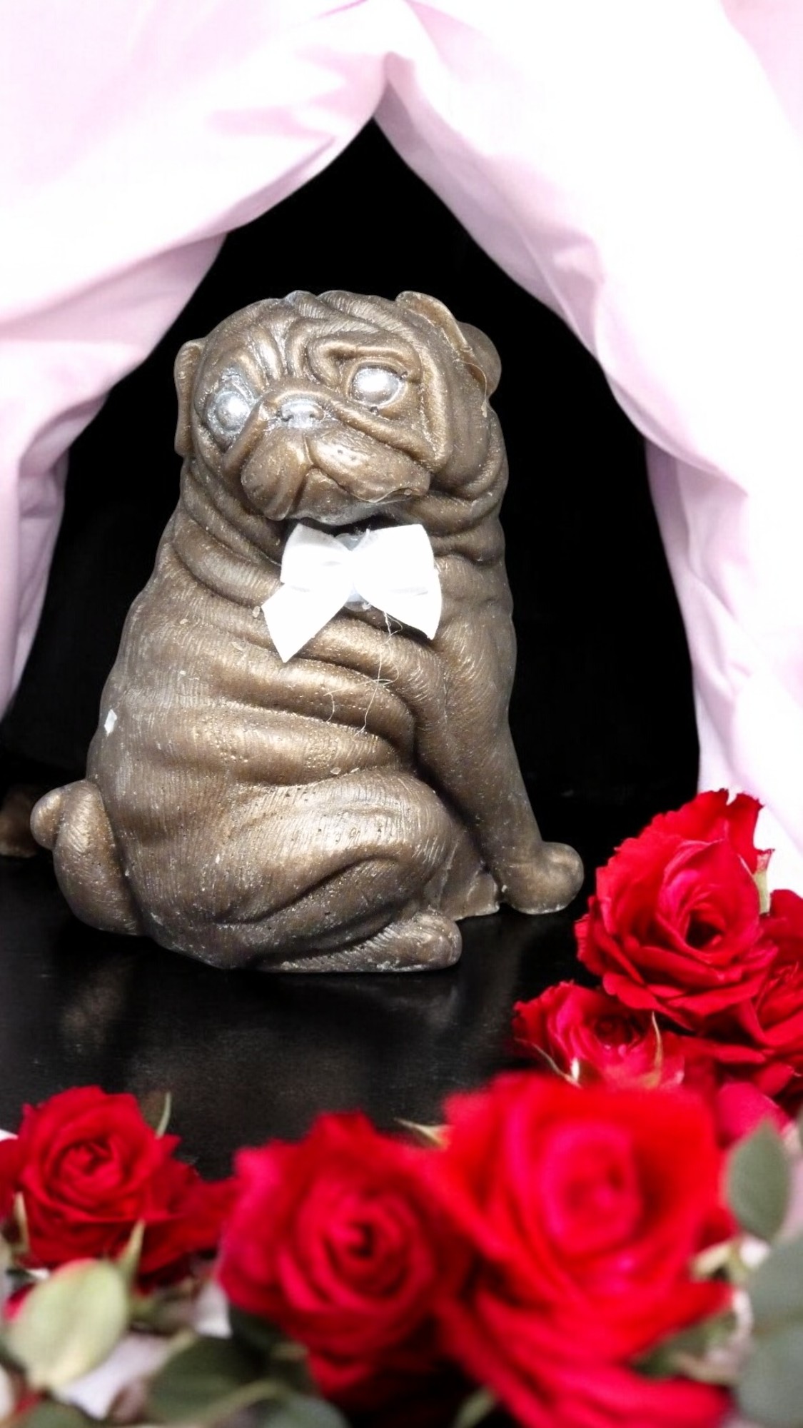 (image for) Mopshond Zeepje met Mica