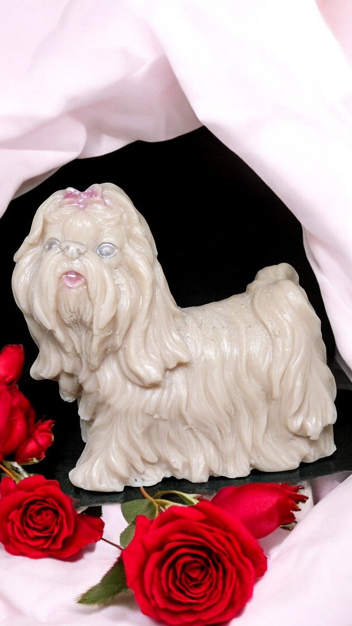 (image for) Shih Tzu Zeepje met Mica