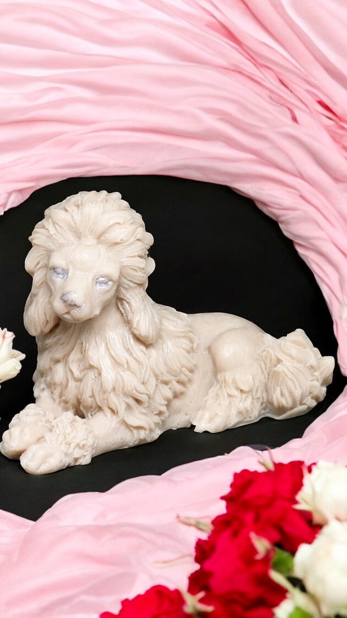 (image for) Koningspoedel Zeepje met Mica