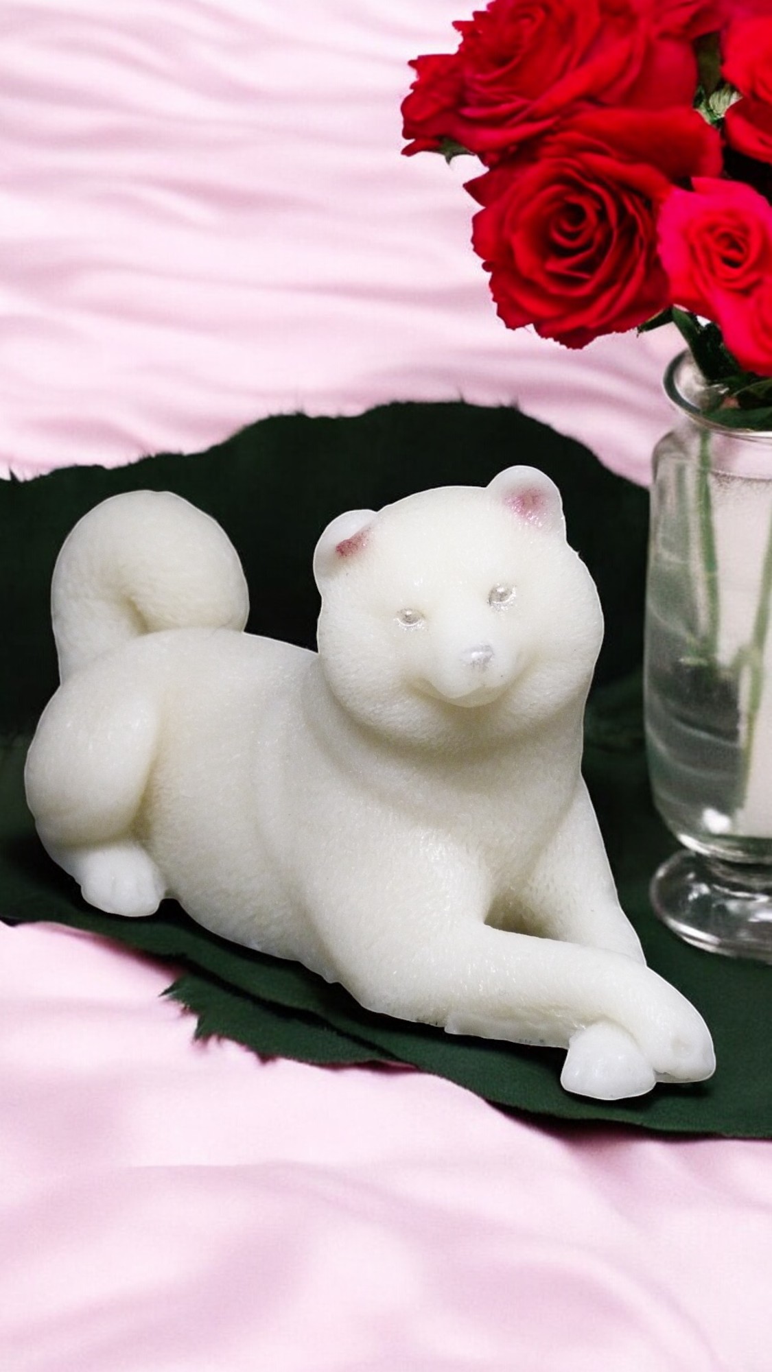 (image for) Shiba Zeepje met Mica