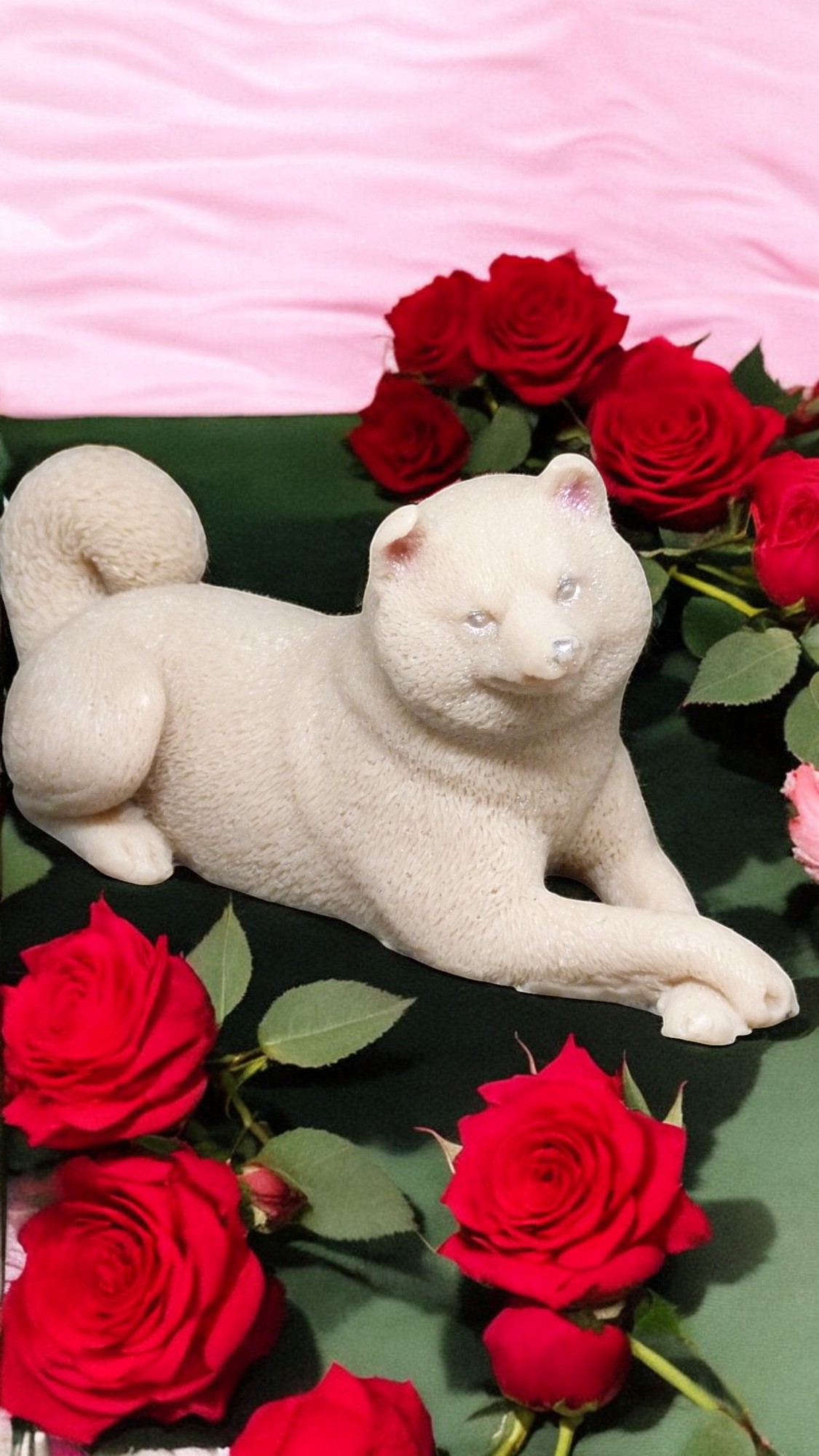 (image for) Shiba Zeepje met Mica