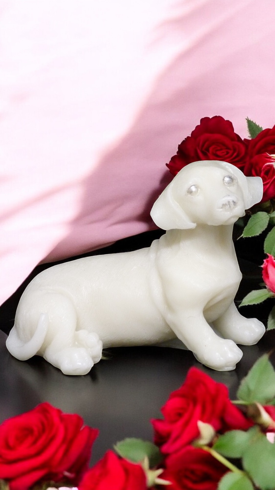 (image for) Teckel Zeepje met Mica