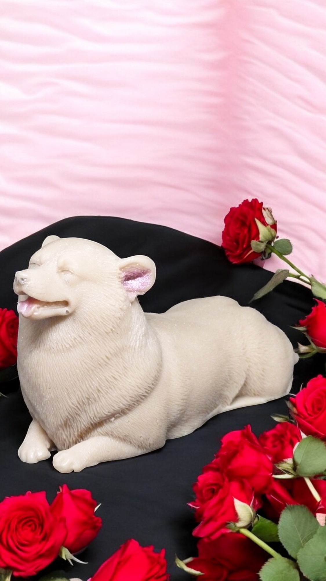 (image for) Corgi Zeepje met Mica