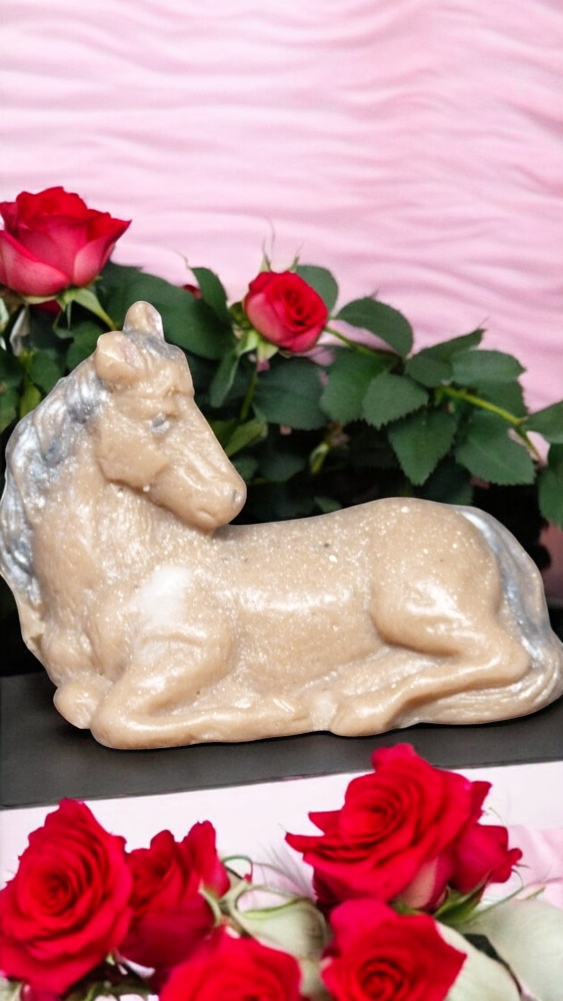 (image for) Paardje Zeepje met Mica