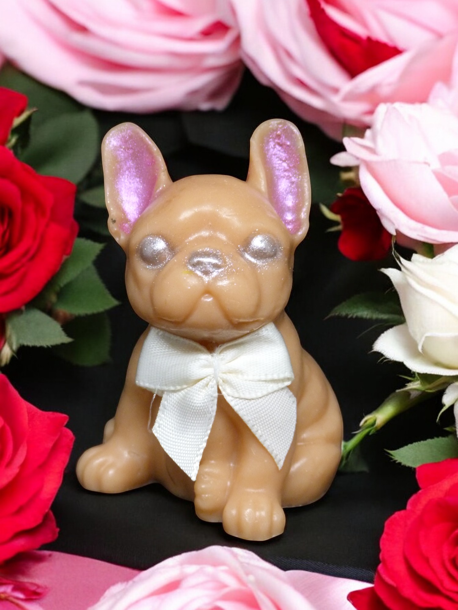 (image for) Franse Buldog Zeepje met Mica Groot